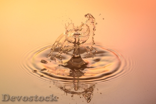 Devostock Drip Water Drop Water 14