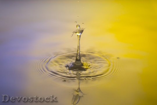 Devostock Drip Water Drop Water 4