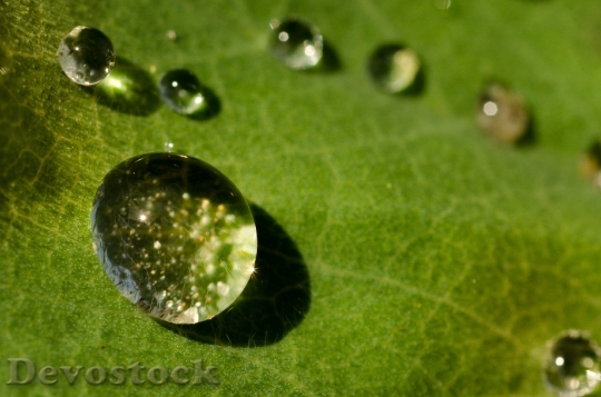 Devostock Drop Water Green Shiny