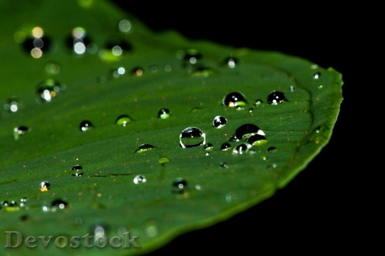 Devostock Droplets Water Drop Rain 0