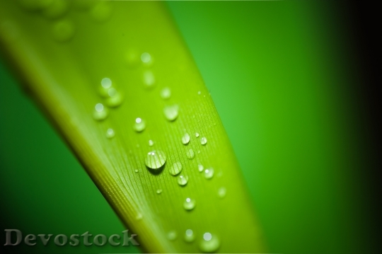 Devostock Droplets Water Drop Rain