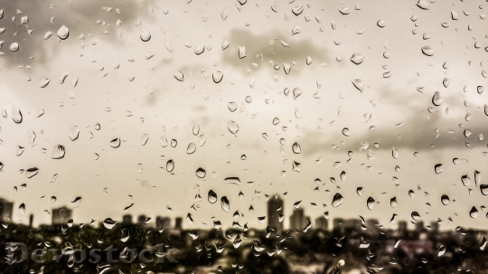 Devostock Drops Rain City Window