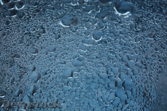 Devostock Drops Water Drops Raindrops