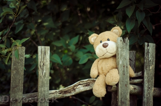 Devostock Fence Teddy Bear Toy 12118