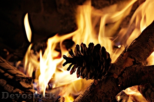 Devostock Fire Fireplace Lena Pineapple