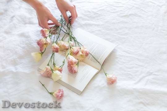 Devostock Flower Book Indoors 5445