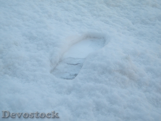 Devostock Footprint Shoe Foot White
