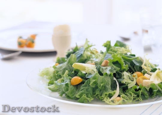 Devostock Fresh Green Salad
