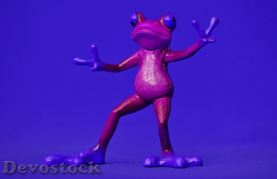 Devostock Frog Gesture Peace Funny 3
