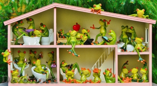 Devostock Frogs Funny Home Residents