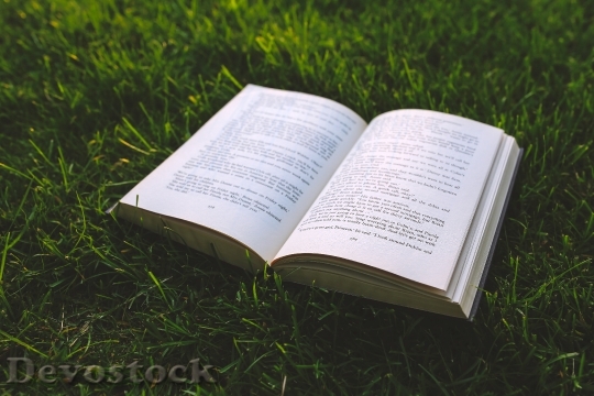 Devostock Grass Meadow Book 533 4K