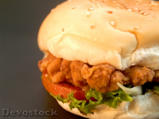 Devostock Hamburger Burger Bun Grilled 15