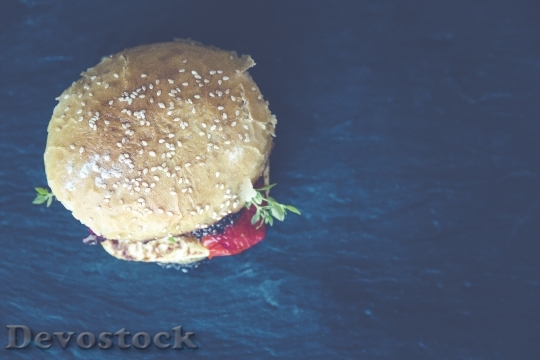 Devostock Hamburger Roll Fast Food