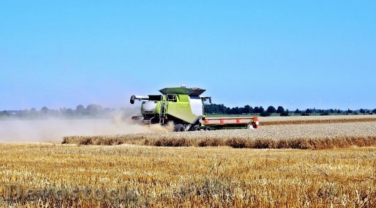 Devostock Harvest Cereals Machines Agriculture 163740 4K.jpeg