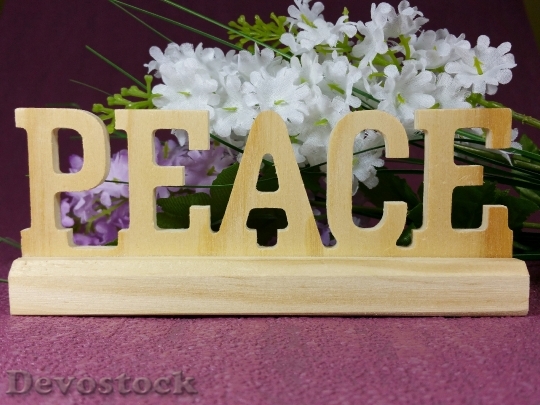 Devostock Hope Peace Decoration Flowers 2