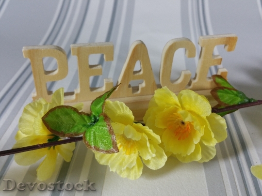 Devostock Hope Peace Decoration Flowers 4