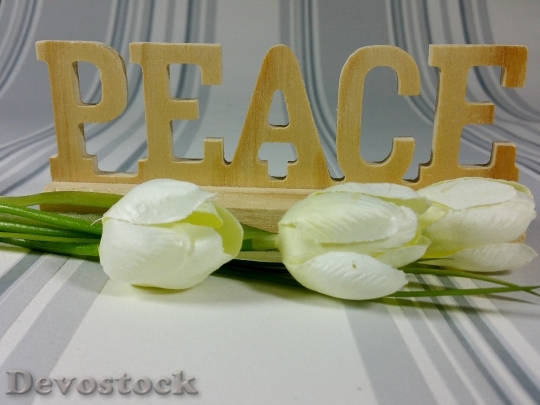 Devostock Hope Peace Decoration Flowers