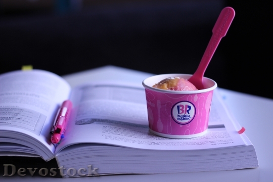 Devostock Ice Cream Book Dessert
