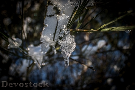 Devostock Ice Drop Frozen Winter