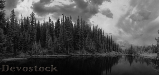 Devostock Infrared Black White Landscape