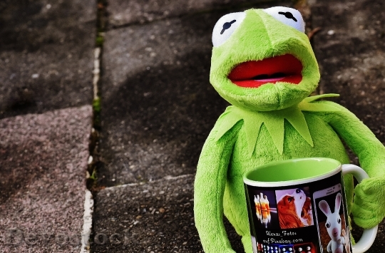 Devostock Kermit Cup Drink Coffee