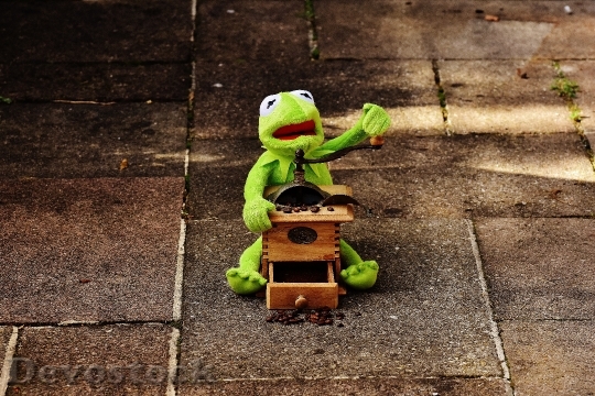Devostock Kermit Frog Grinder Coffee 1