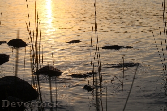 Devostock Lake Sweden Calm Serenity