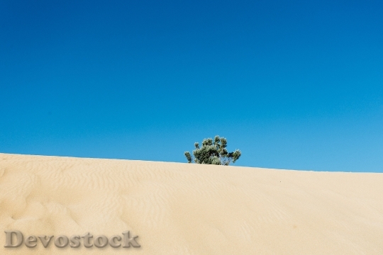 Devostock Landscape Nature Sand 3831