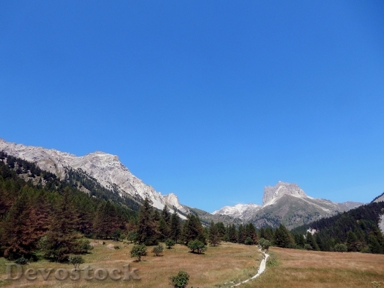 Devostock Larch Mountain Alps Trail