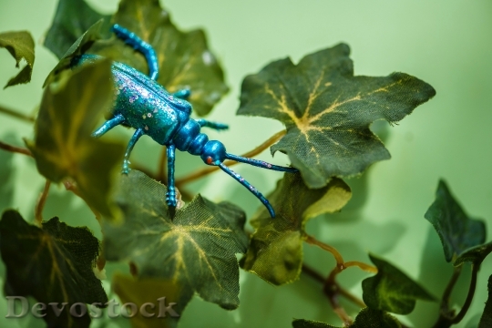 Devostock Leaves Toy Insect 11870