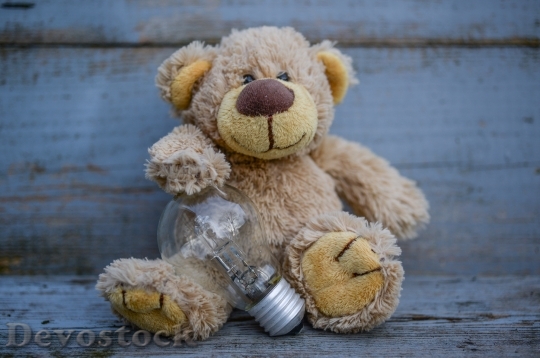Devostock Light Bulb Teddy Bear Bulb 10025