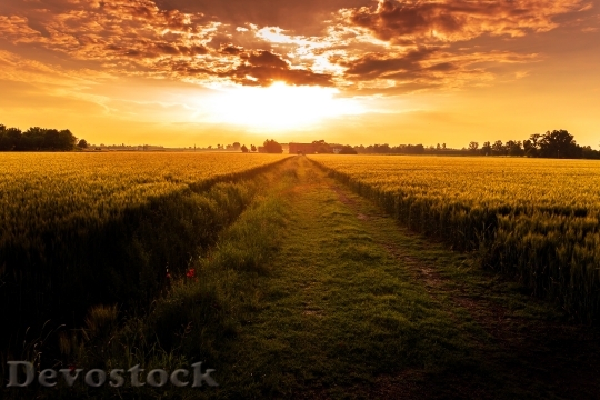 Devostock Light Dawn Landscape 12172
