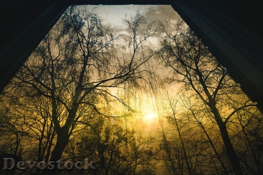 Devostock Light Dawn Landscape 2376