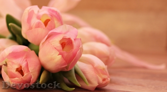 Devostock Love Romantic Flowers 3272