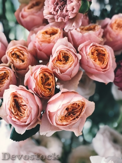 Devostock Love Romantic Flowers 9367