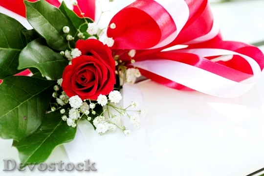 Devostock Love Romantic Petals 6956