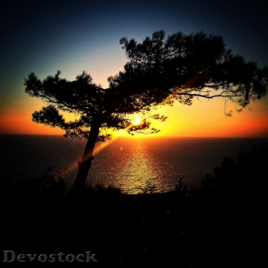 Devostock Mediterranean Landscape Sunset 696178