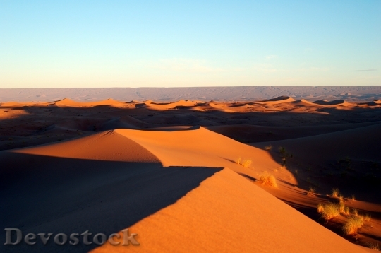 Devostock Morocco Africa Desert Marroc 8