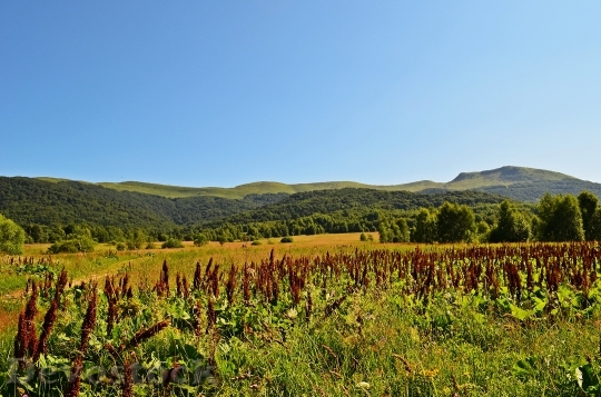 Devostock Mountains Landscape View Panorama 3
