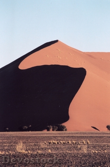 Devostock Namibia Duna Sand Desert