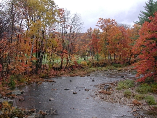 Devostock New Hampshire Jackson Stream