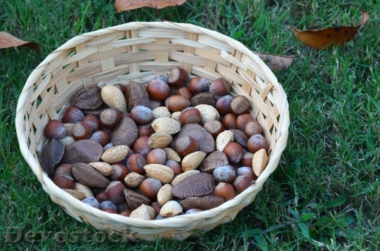 Devostock Nut Food Healthy Organic