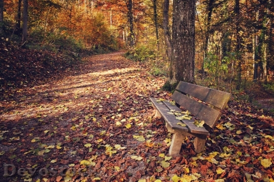 Devostock Park Park Bench Leaves