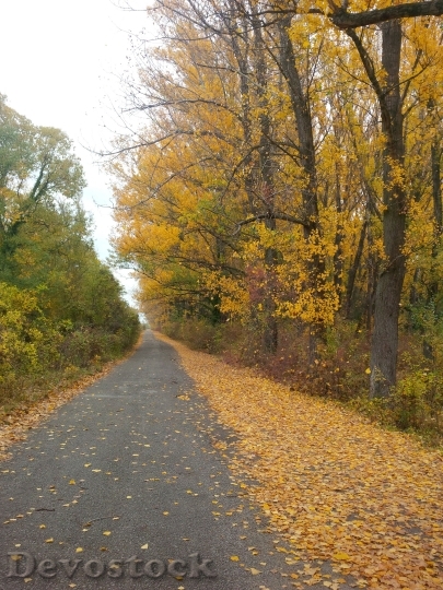 Devostock Path Trail Footpath Autumn
