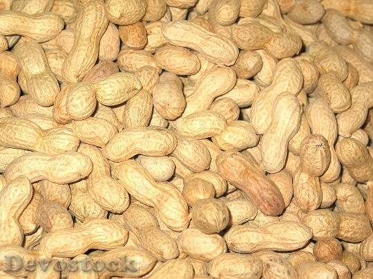 Devostock Peanuts Christmas Nuts Background 1