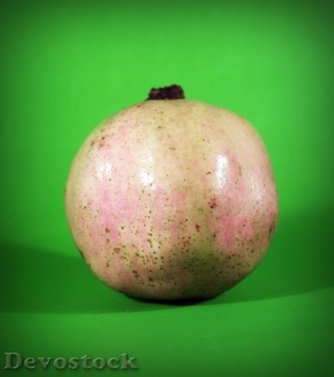 Devostock Pear Asian Nashi Closeup 1