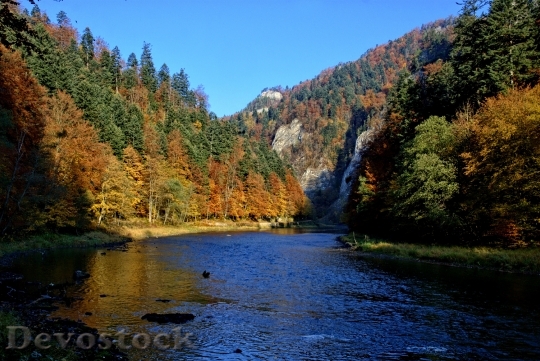 Devostock Pieniny Dunajec Autumn Leaves 1