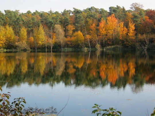 Devostock Pond Mirroring Golden October