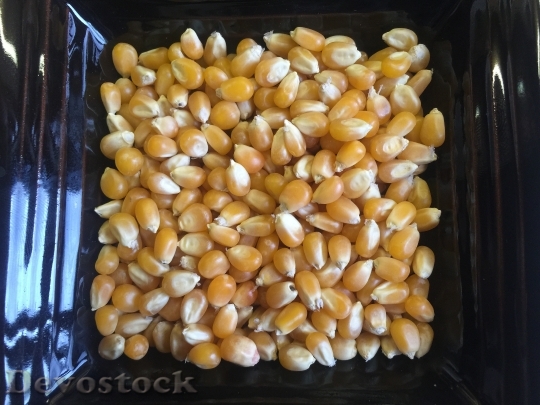 Devostock Popcorn Kernels Food Snack 0
