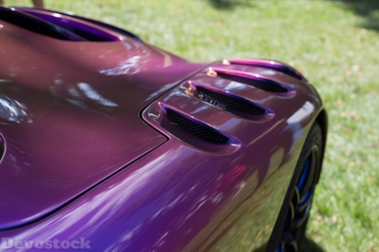 Devostock Purple Car Vehicle 16339 4K